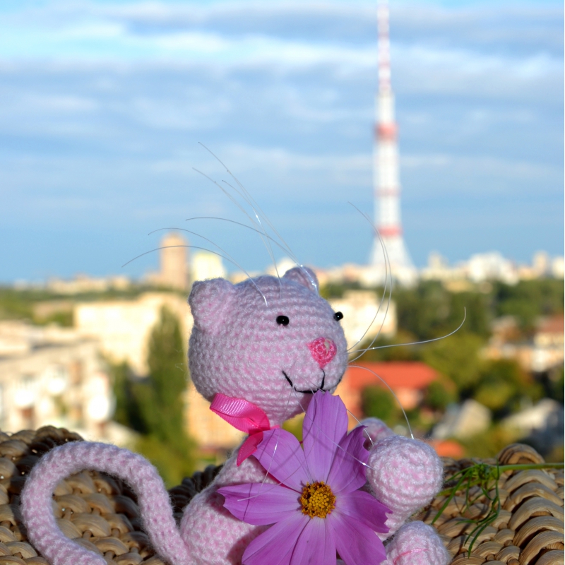 Кошечка