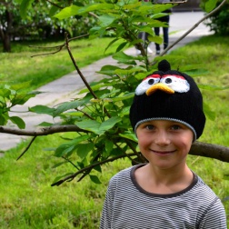 Шапка Angry Birds